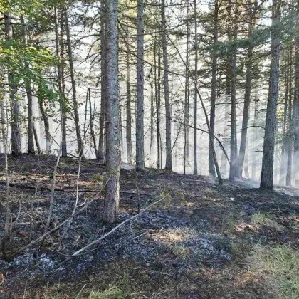 РДПБЗН–Пловдив предупреди за изключително висока опасност от пожари днес Националният
