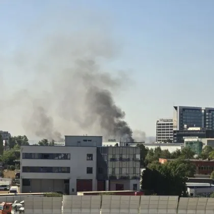 Огън изпепели няколко постройки намиращи се близо до летище Васил