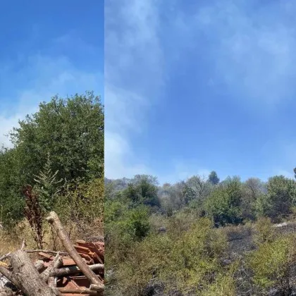 Пожар възнкна в района на село Клисура община Банкя съобщиха