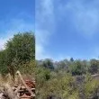Пожар избухна край Банкя, бързо го локализираха СНИМКИ