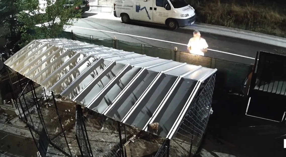 Без страх: Мъж хвърли пиратка в клетка с две кучета ВИДЕО
