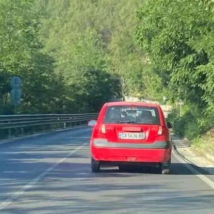 В последните седмици – България гори Буквално Само за последното