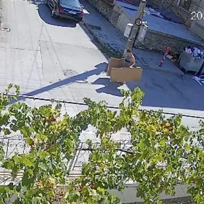 Постъпката на дама разгневи асеновградчани Жената е заснета посред бял ден