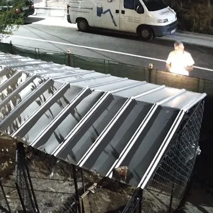 Шокираща случка от Велинград попадна на видео Мъж запали пиратка