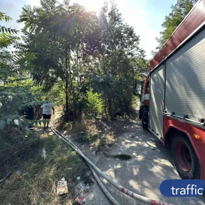 Пожарът който днес следобед обхвана района край Ботаническата градина в