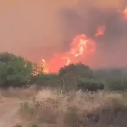 Над 1000 души бяха евакуирани заради пожари в Северозападна Испания Обстановката