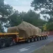 Колони с военна техника излизат по пътищата на България