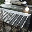 Без страх: Мъж хвърли пиратка в клетка с две кучета ВИДЕО