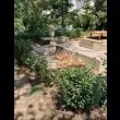 С двете си ръце: Сливналия създаде райска градина пред блока си ВИДЕО