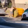 Столичанин обяви "война" на казани, един падна... СНИМКИ