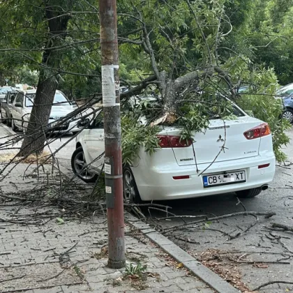 Голям клон от дърво се стовари върху лек автомобил в