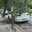 Голям клон се стовари върху кола в София СНИМКИ
