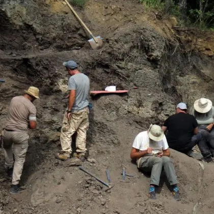 В периода от 28 юли до 5 август се проведе