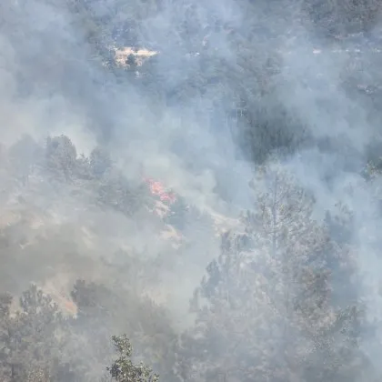 Сигнал за пожар в кърджалийското село Дъждовница е получен около