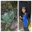 Монахиня от Драгалевския манастир „освети" природата с кофа стъкла