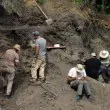 Откриха кост на динозавър край български град