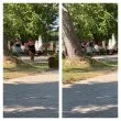 Водата от чешмата, пяната от сапуна - Стара Загора предлага безплатно къпане ВИДЕО
