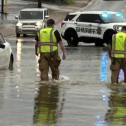 Майка баща и дете са загинали когато дърво е паднало