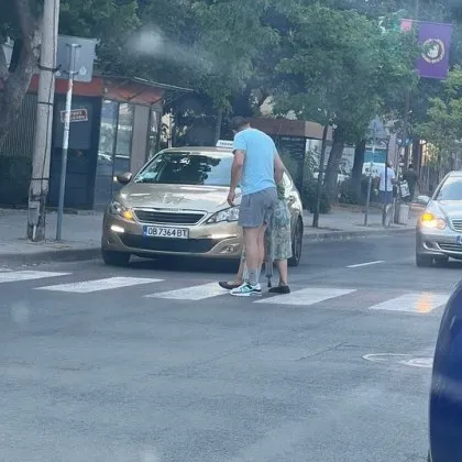 Сред напрегнатото ежедневие в което често доминират новини за агресия