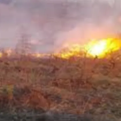 Задържаха 84 годишен мъж за палеж на стърнища край хасковското село