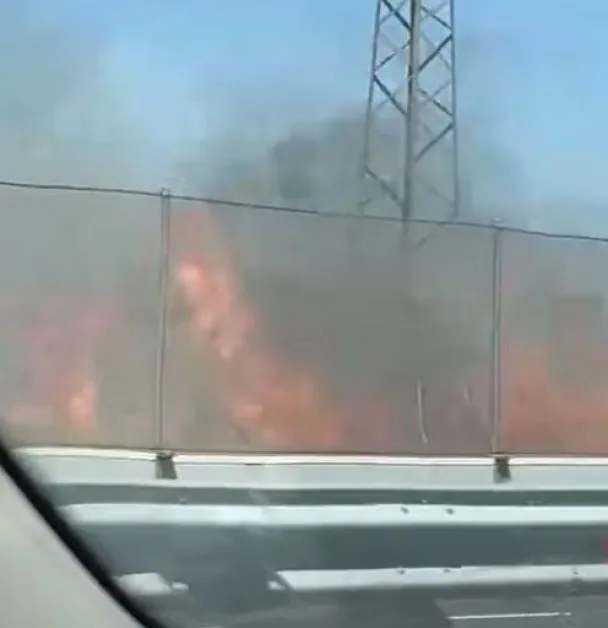 Пожар бушува между Ахелой и Поморие ВИДЕО