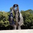 „Браво Пловдив” събира българите от цял свят за Деня на Съединението