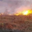 Задържаха дядо, подпалил пожар в сухи треви