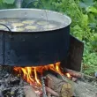 Варене на компоти предизвика пожар в Старозагорско