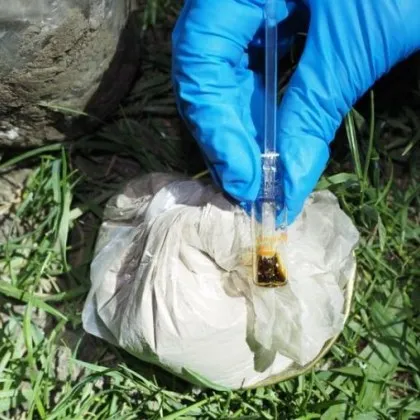 През 2024 г поне 69 000 българи на възраст между