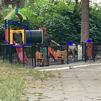 Човек попадна на огромно куче качено на пързалката в детска