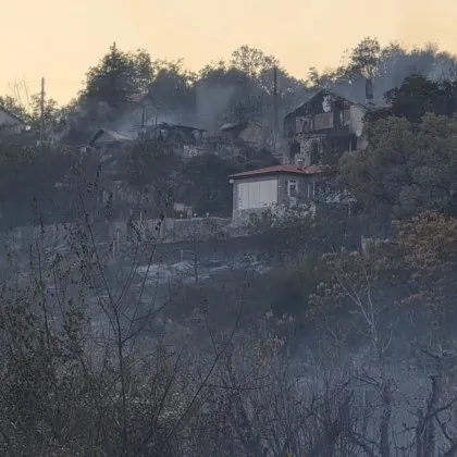 Двама мъже на 40 и 49 години са виновниците