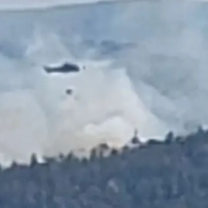 Пожарът който вчера избухна в труднодостъпна борова гора в местността