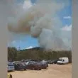 Избухна голям пожар край Варна ВИДЕО