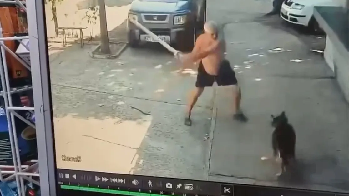 Желязко с желязна тръба наби сляпо куче в Казанлък ВИДЕО