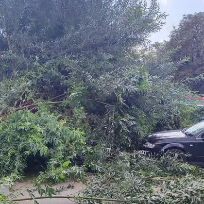 Жителка на Перник сигнализира в социалната мрежа Facebook за нанесени