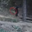 Въоръжен нахлу в дома на шефката на приюта за животни в Благоевград