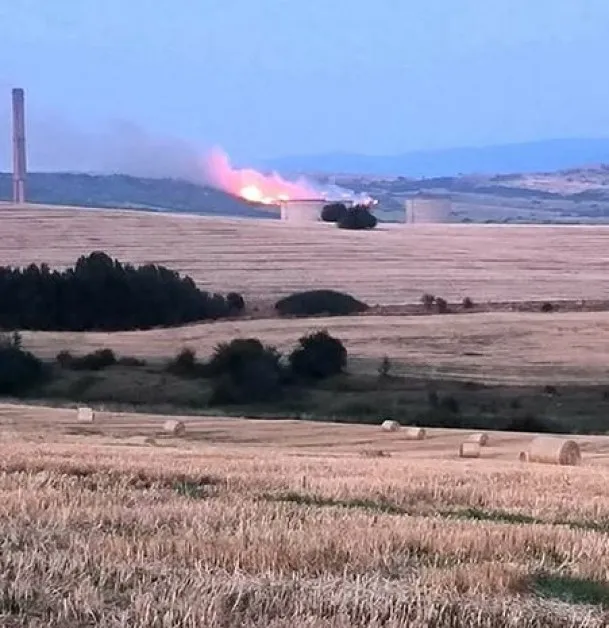Голям пожар избухна край село в Кюстендилско СНИМКИ