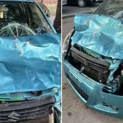 Бивол причини тежка катастрофа в София, жена е с травми по гръбначния стълб
