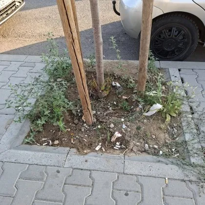 Сигнал за чистотата на столичния квартал Люлин се появи в