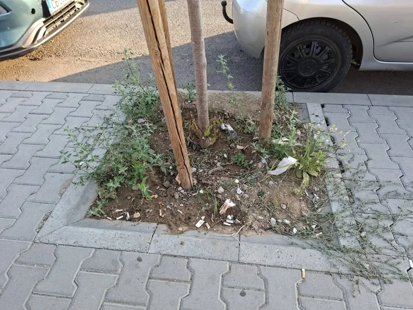 Публикация във Facebook постави на фокус мръсотията в "Люлин" СНИМКИ и ВИДЕО