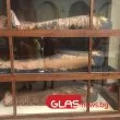 На всички мумии липсва един орган: заменяли го с камъни и луковици