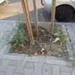 Публикация във Facebook постави на фокус мръсотията в "Люлин" СНИМКИ и ВИДЕО