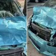 След като шофьорка блъсна бивол и пострада в София: БАБХ наложи глоба