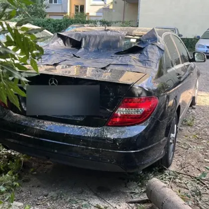 Кратката буря в София днес повали клони и цели дървета