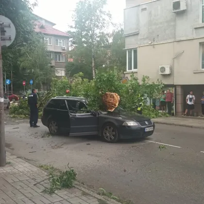 Силна буря удари Монтана: Дърво падна върху автомобил СНИМКА+ВИДЕО