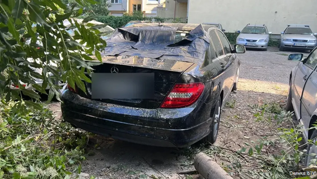 Щети по коли и паднали дървета след бурята в София