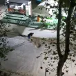Показаха как се появяват дупките по пловдивските улици... с кирки! ВИДЕО