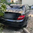 Щети по коли и паднали дървета след бурята в София