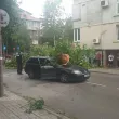 Силна буря удари Монтана: Дърво падна върху автомобил СНИМКА+ВИДЕО