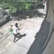 Жена изтръгна лютите чушки от междублокова градинка в Русе ВИДЕО